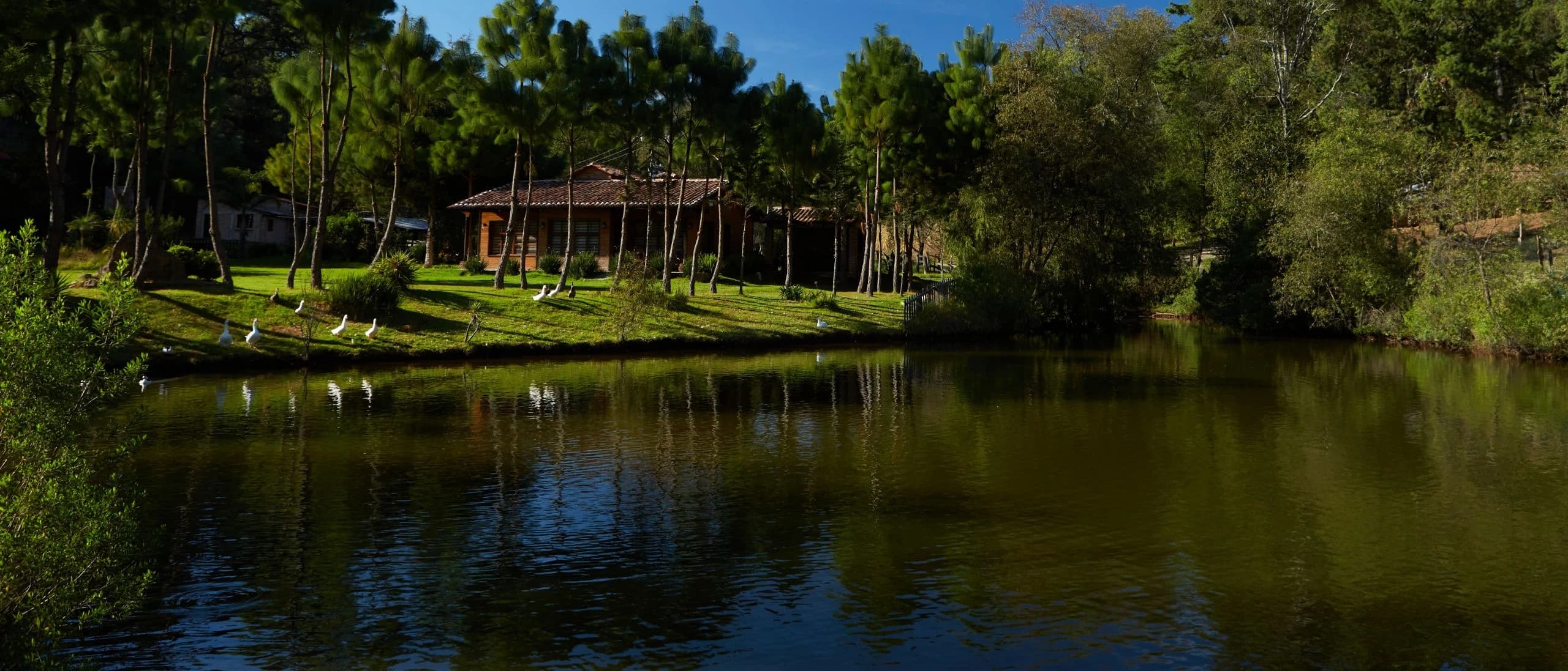 Reserva San Gregorio